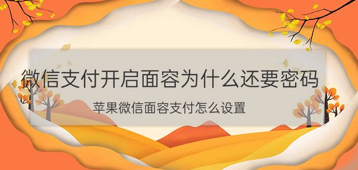 微信支付开启面容为什么还要密码 苹果微信面容支付怎么设置？